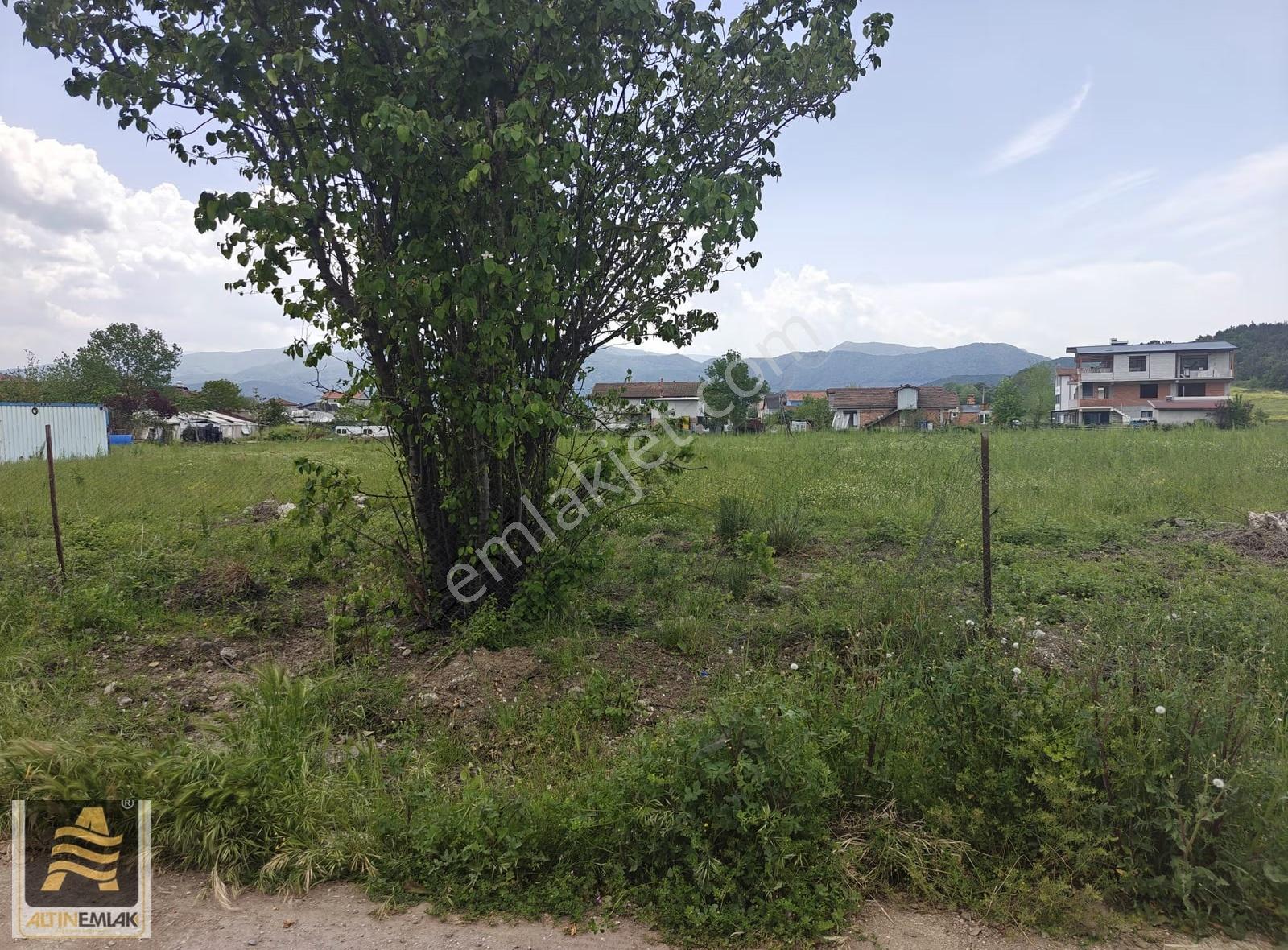 Sakarya Arifiye Yukarıkirazce Mh.doğaya Yakın Lokasyonda Arsa - Görsel 4