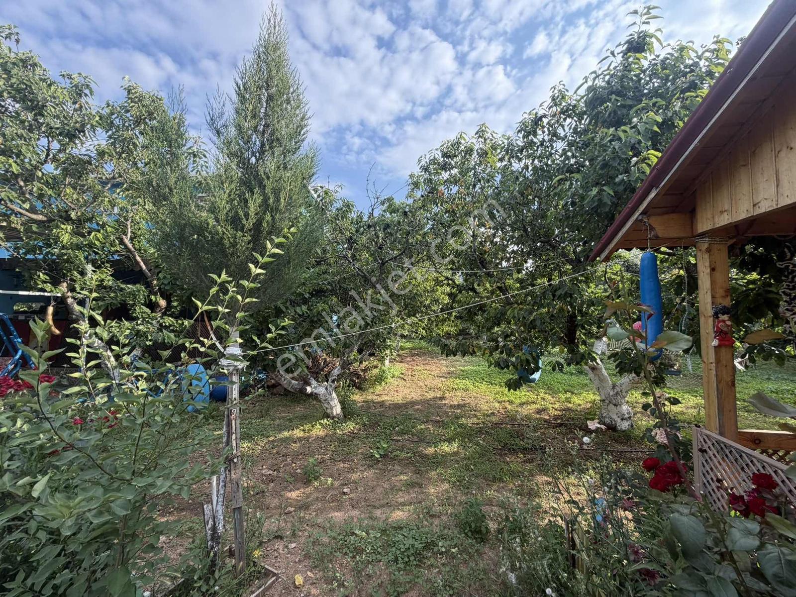 Kemalpaşa Çınar Mah.4308m2 Kiraz Bahçesi Ve Dublex Villa Satılık - Görsel 2