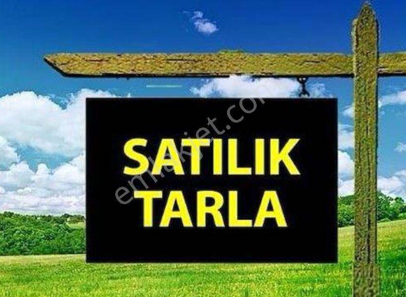 Kuşadası Kirazlı Köyünde Satılık Tarla