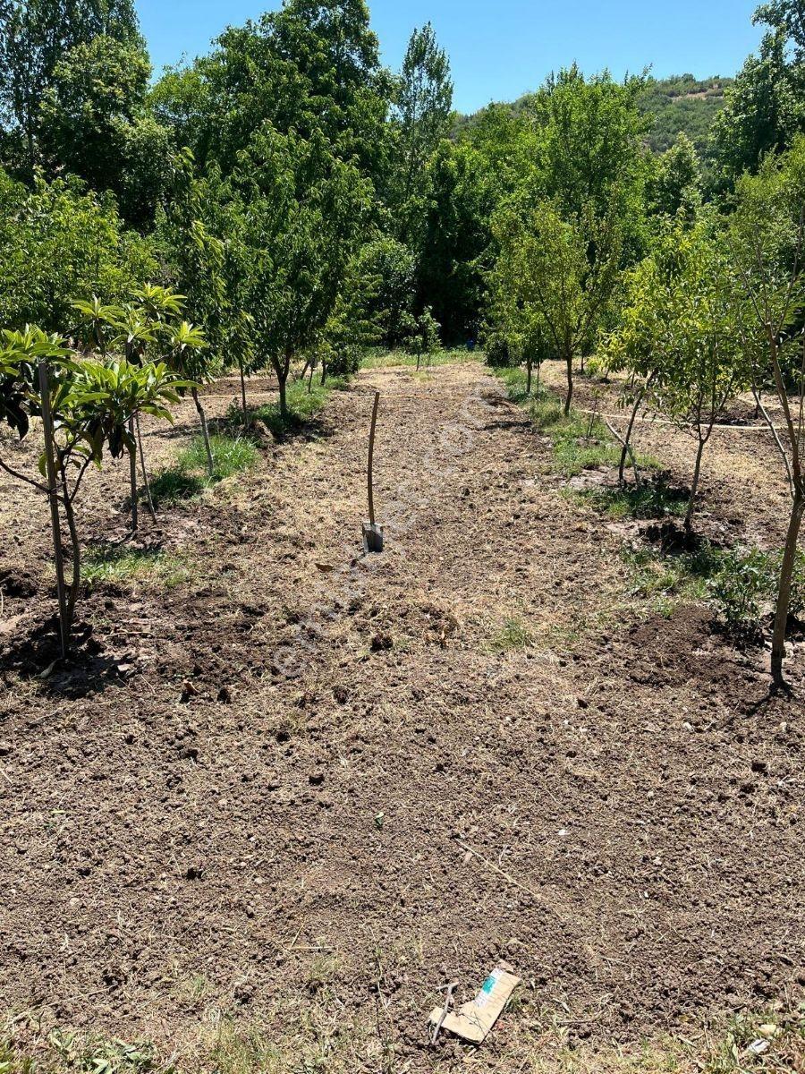 Kayalardan Yatırımlık Mükemmel Bağevi Ve Hobi Bahçesi - Görsel 30