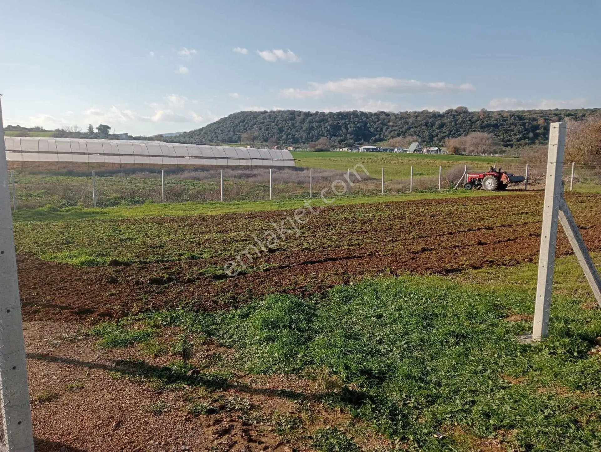 Menderes Değirmendere'de Asfalt Yola Cepheli 962 M² Tel Örgülü Tarla Sahibinden Satılık - Görsel 3