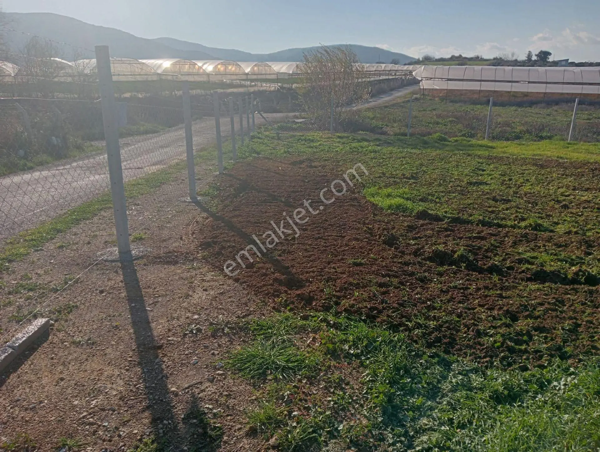 Menderes Değirmendere'de Asfalt Yola Cepheli 962 M² Tel Örgülü Tarla Sahibinden Satılık - Görsel 4