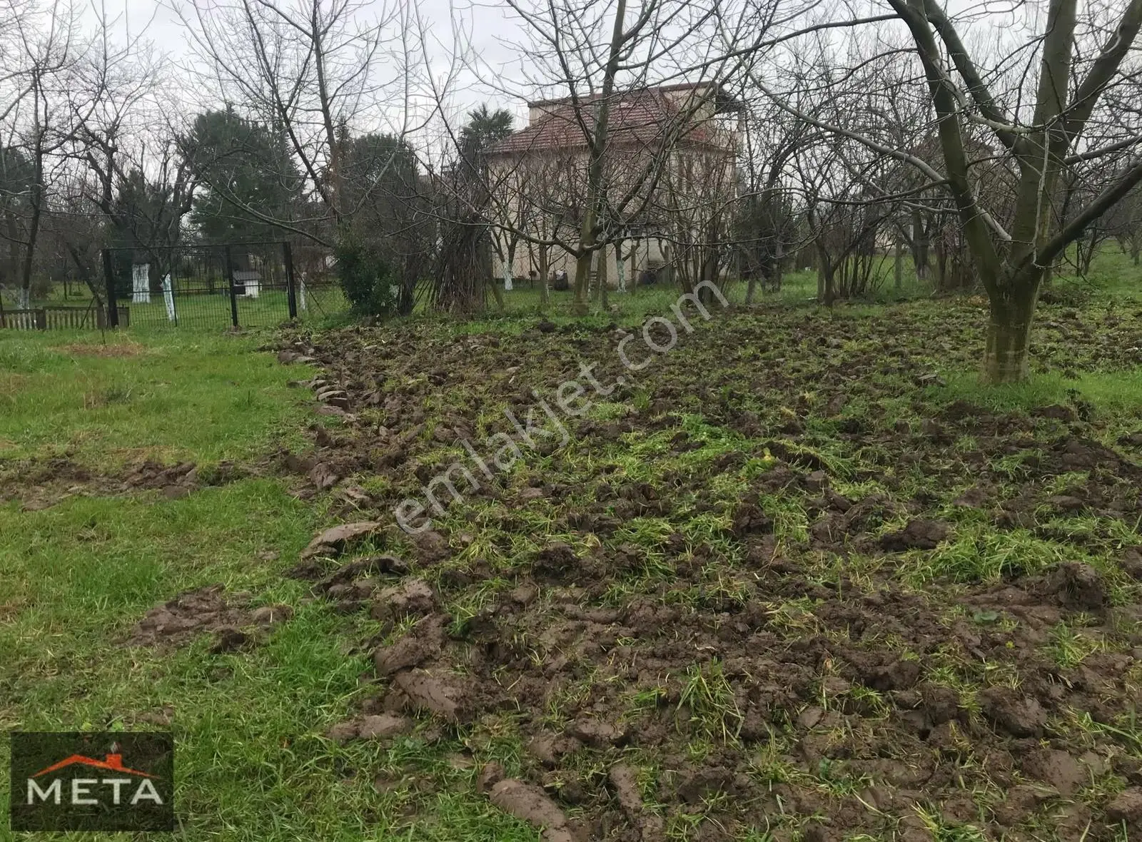 Meta' Dan Sapanca Gölü'nün Yanı Başında Kupon Meyve Bahçesi - Görsel 3