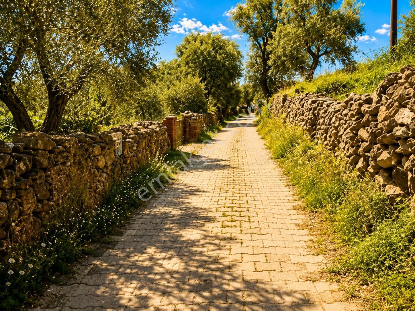 Bodrum Yakını Söğütçük'te Satılık Köy Evi + 1 Dönüm İmarlı Arsa - Görsel 5
