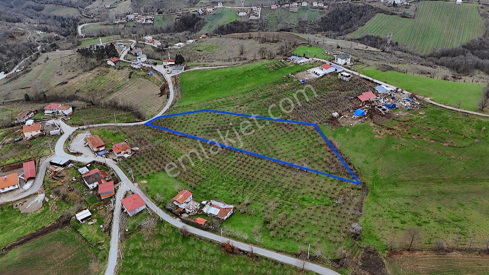 Talha Yeğın'den Satılık Köy İçi İmarlı Arsa - Görsel 6