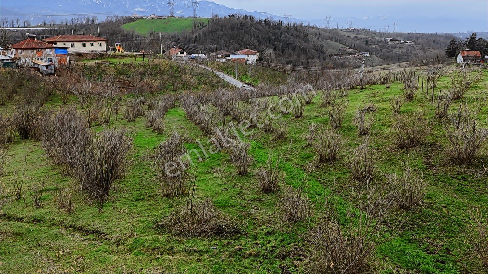 Talha Yeğın'den Satılık Köy İçi İmarlı Arsa - Görsel 9