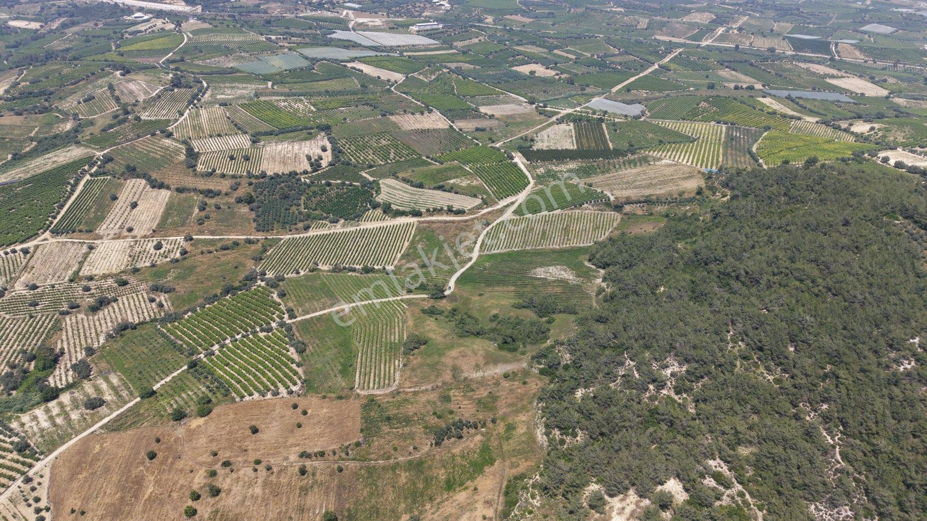 Ra Gayrmenkul Ulaş Mh Verimli Toprak 18.000m2 Tarla - Görsel 14