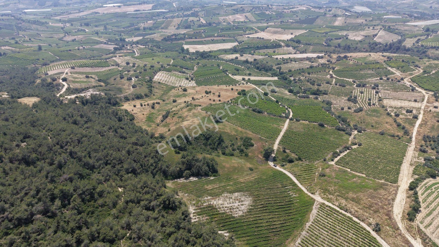 Ra Gayrmenkul Ulaş Mh Verimli Toprak 18.000m2 Tarla - Görsel 15