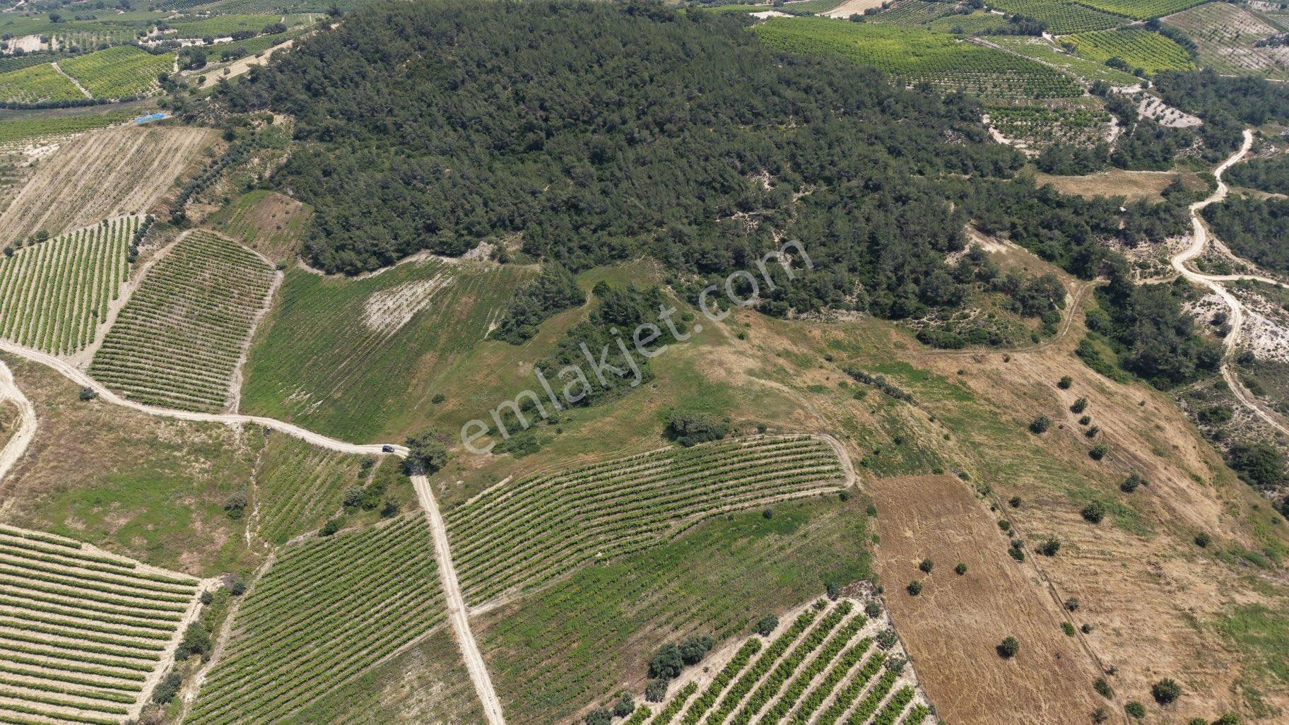 Ra Gayrmenkul Ulaş Mh Verimli Toprak 18.000m2 Tarla - Görsel 13