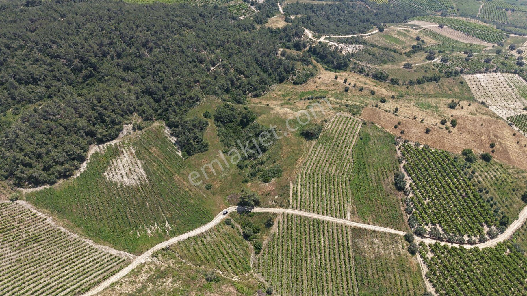 Ra Gayrmenkul Ulaş Mh Verimli Toprak 18.000m2 Tarla - Görsel 7