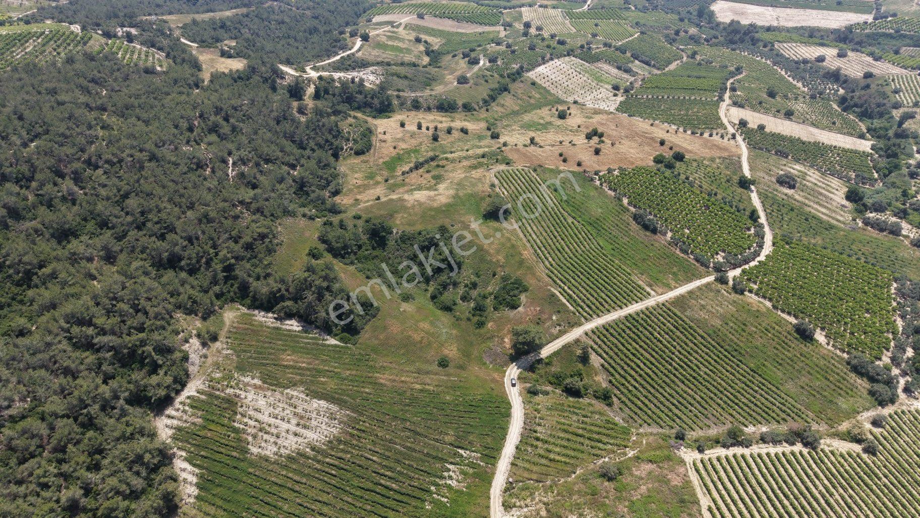 Ra Gayrmenkul Ulaş Mh Verimli Toprak 18.000m2 Tarla - Görsel 6
