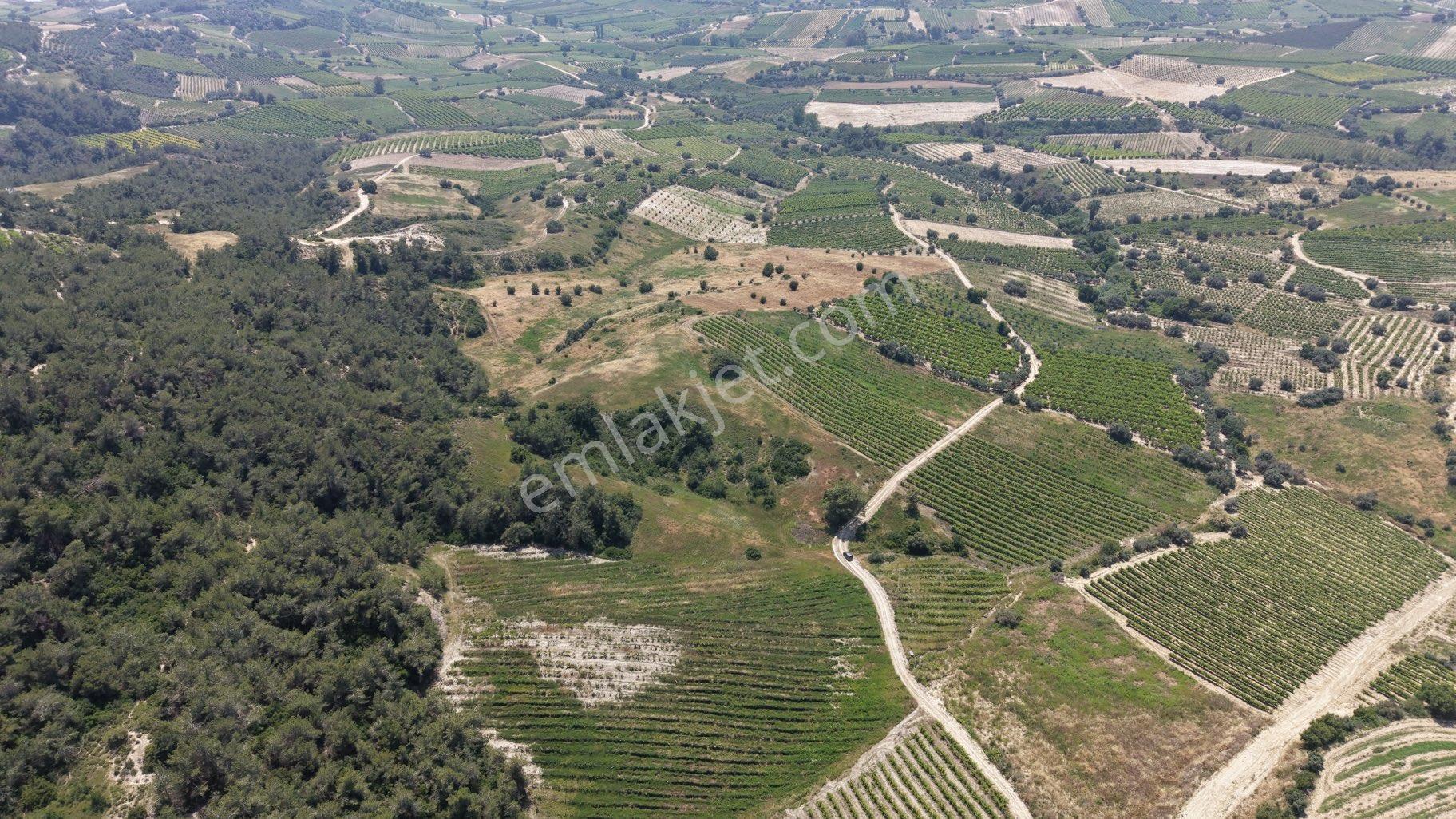 Ra Gayrmenkul Ulaş Mh Verimli Toprak 18.000m2 Tarla - Görsel 12