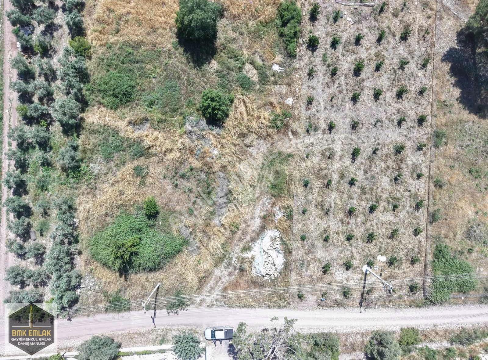 Bmk'dan Adrasan'da 2730 M2 Satılık Tarla