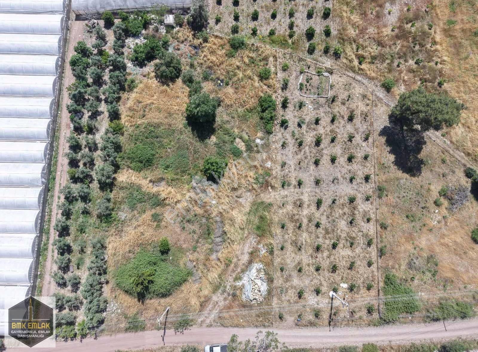 Bmk'dan Adrasan'da 2730 M2 Satılık Tarla - Görsel 6