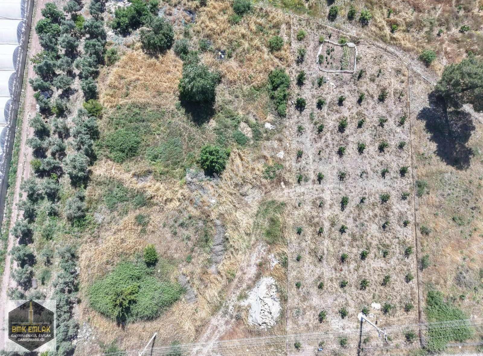 Bmk'dan Adrasan'da 2730 M2 Satılık Tarla - Görsel 20