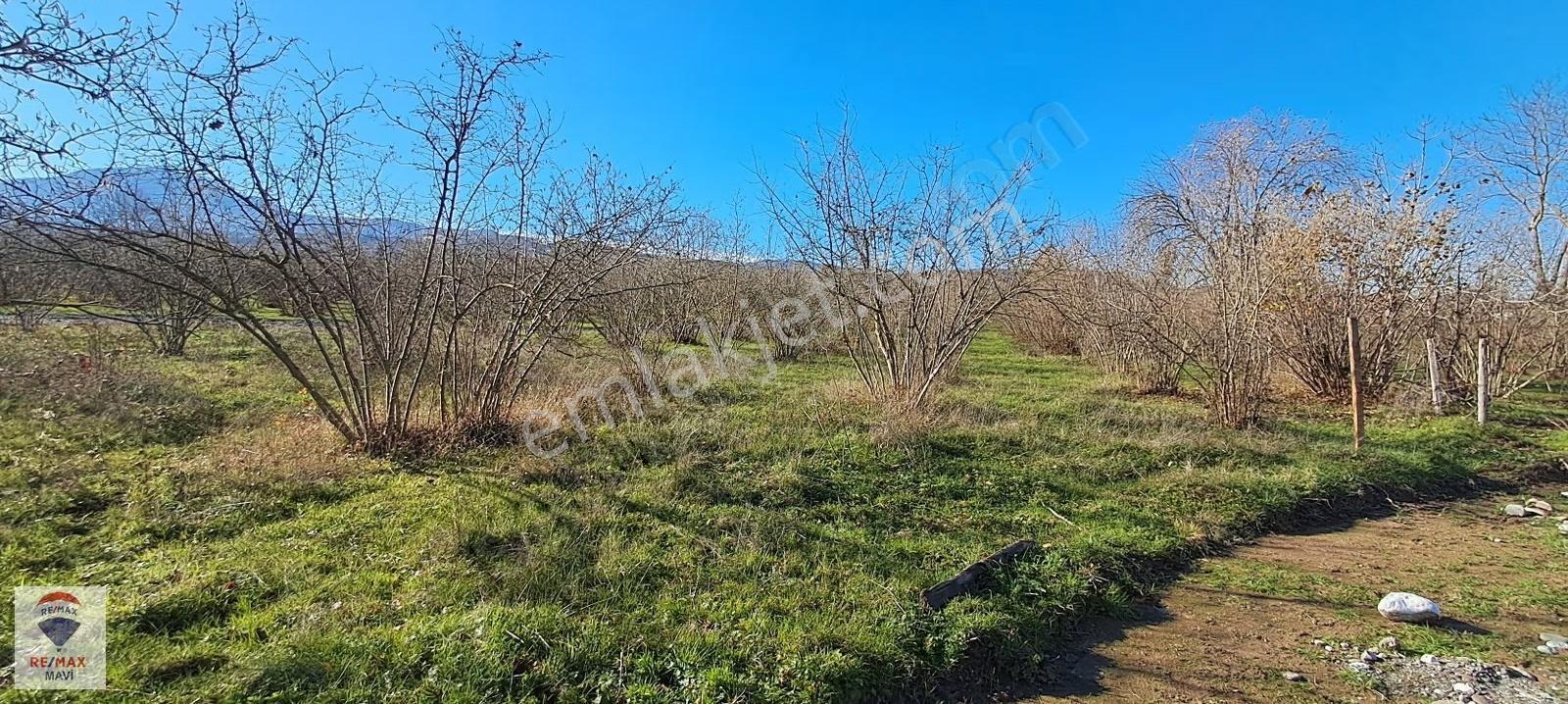 Re/max Mavı Fatıh Çelebı Den Karapürçek Gırışı 672 M2 Köşe Arsa - Görsel 2
