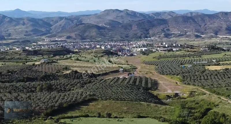 Bilecik Osmaneli Camikebir'de Sanayi İmarına Yakın Bahçe - Görsel 17