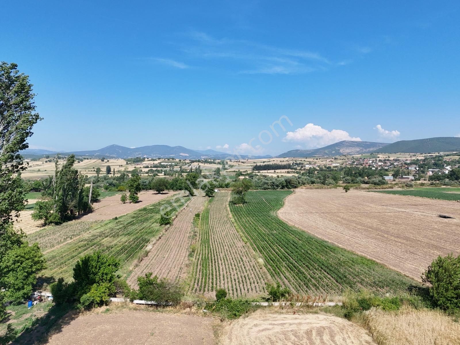 Nova'dan Kepsut Şeremetler Mh.da 2900m² Tarla Kepsut Merkez 5 Dk - Görsel 17