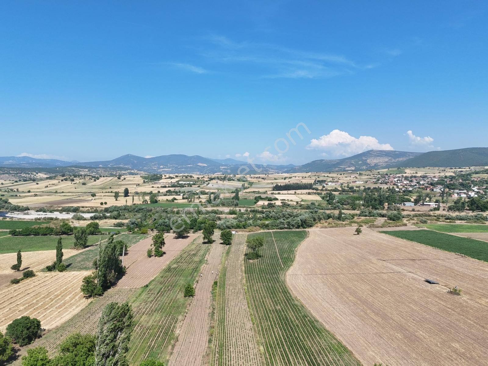 Nova'dan Kepsut Şeremetler Mh.da 2900m² Tarla Kepsut Merkez 5 Dk - Görsel 4