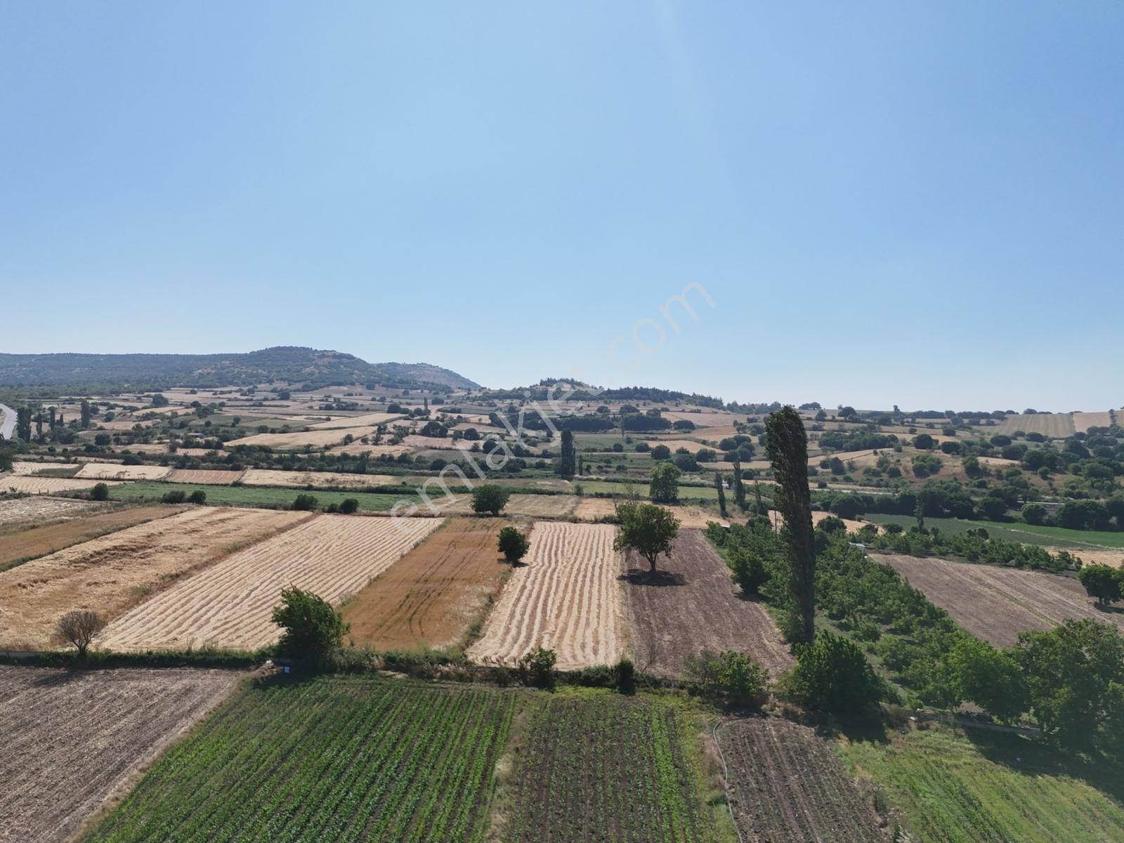 Nova'dan Kepsut Şeremetler Mh.da 2900m² Tarla Kepsut Merkez 5 Dk - Görsel 15