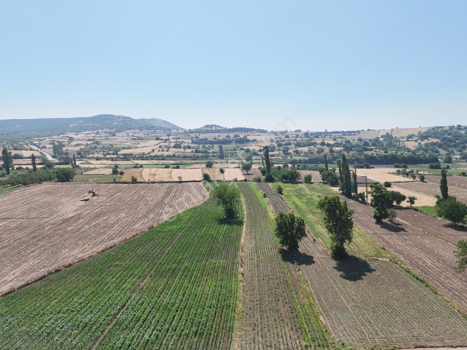 Nova'dan Kepsut Şeremetler Mh.da 2900m² Tarla Kepsut Merkez 5 Dk - Görsel 2
