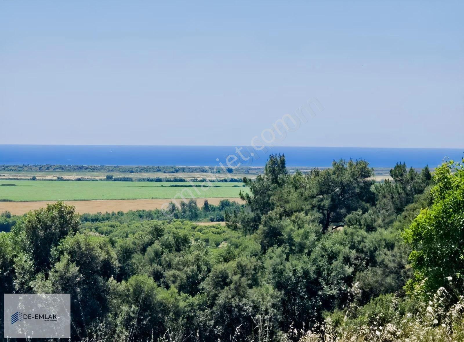 Muğla Ortaca Fevziye De Yatırım Fırsatı Satılık Zeytinlik - Görsel 14