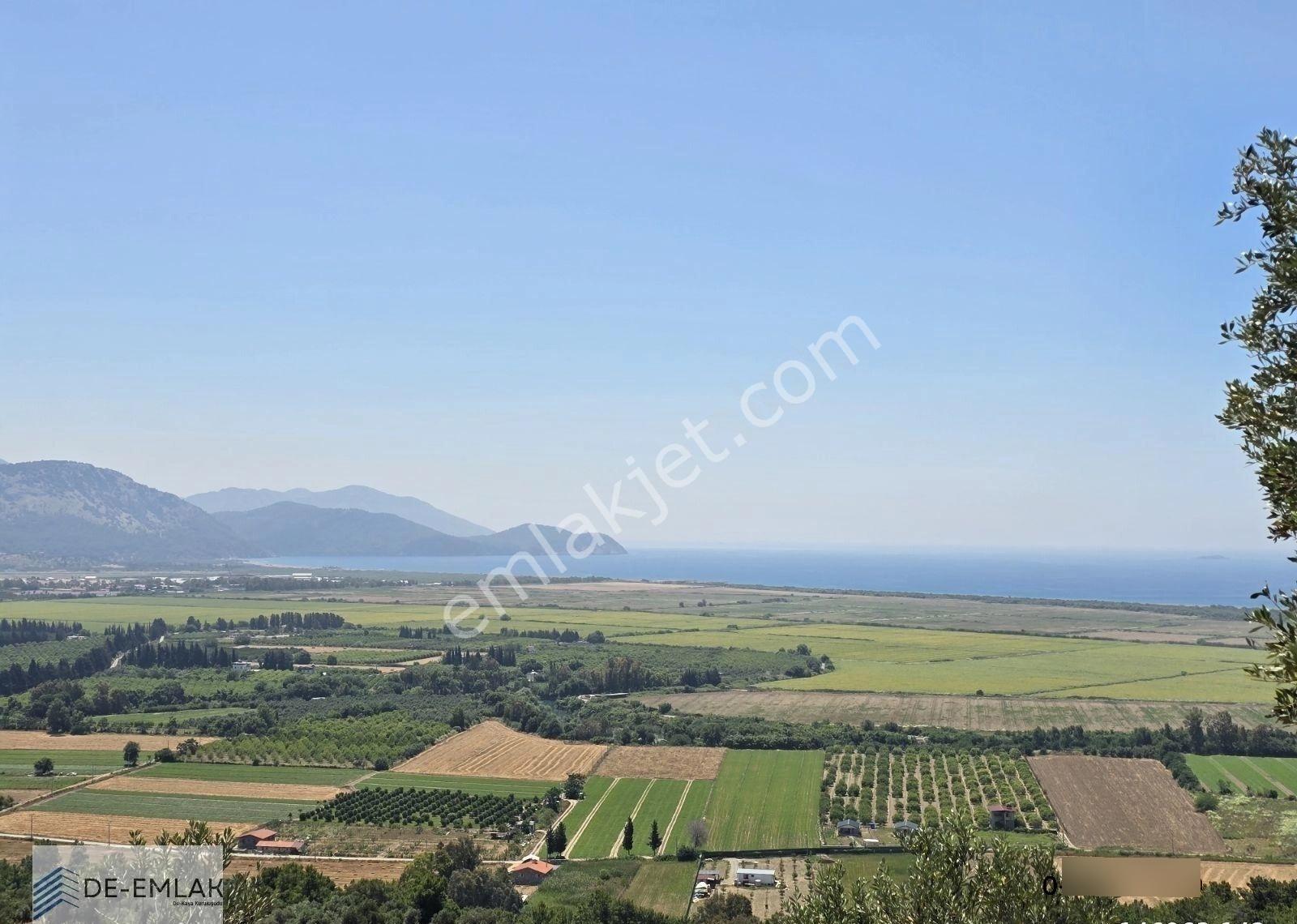 Muğla Ortaca Fevziye De Yatırım Fırsatı Satılık Zeytinlik - Görsel 3