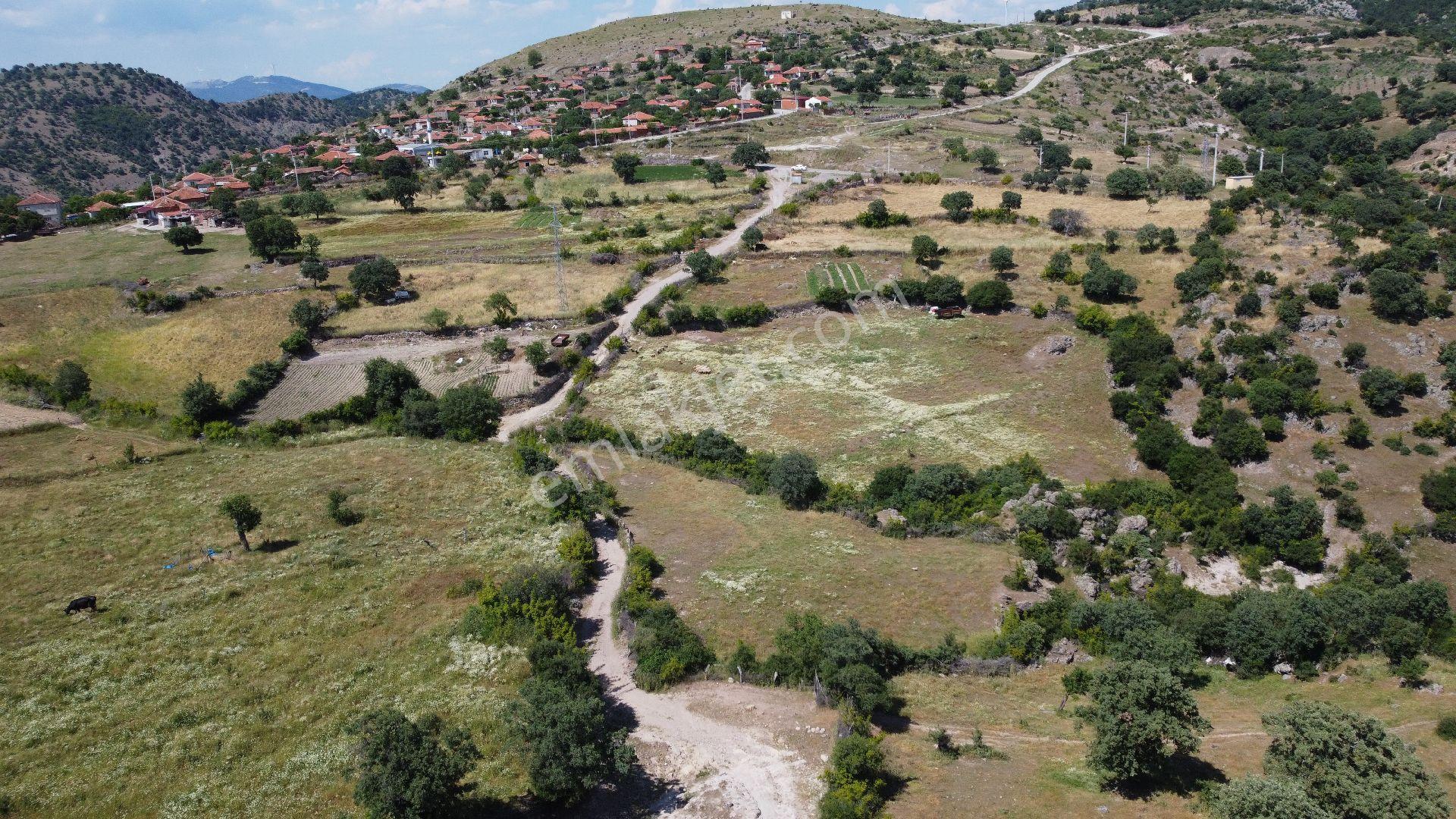 Hobi Bahçesi Yapımına Uygun Müstakil Tapulu Tarla Durmuşlar Köyü - Görsel 32