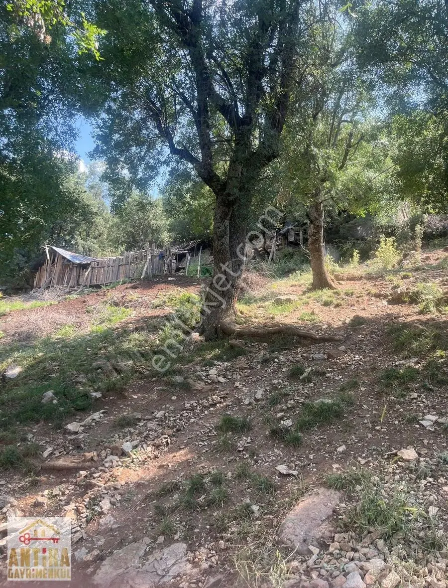 Antika Gayrimenkulden Altınyayla Ballık'ta Satılık Tarla - Görsel 8