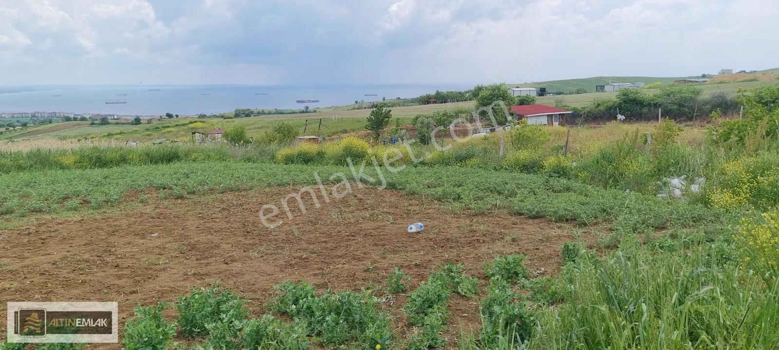 Süleymanpaşa Barbaros 488 M2 Müstakil Arsa - Görsel 4