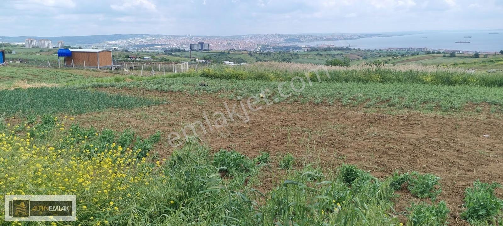 Süleymanpaşa Barbaros 488 M2 Müstakil Arsa - Görsel 14
