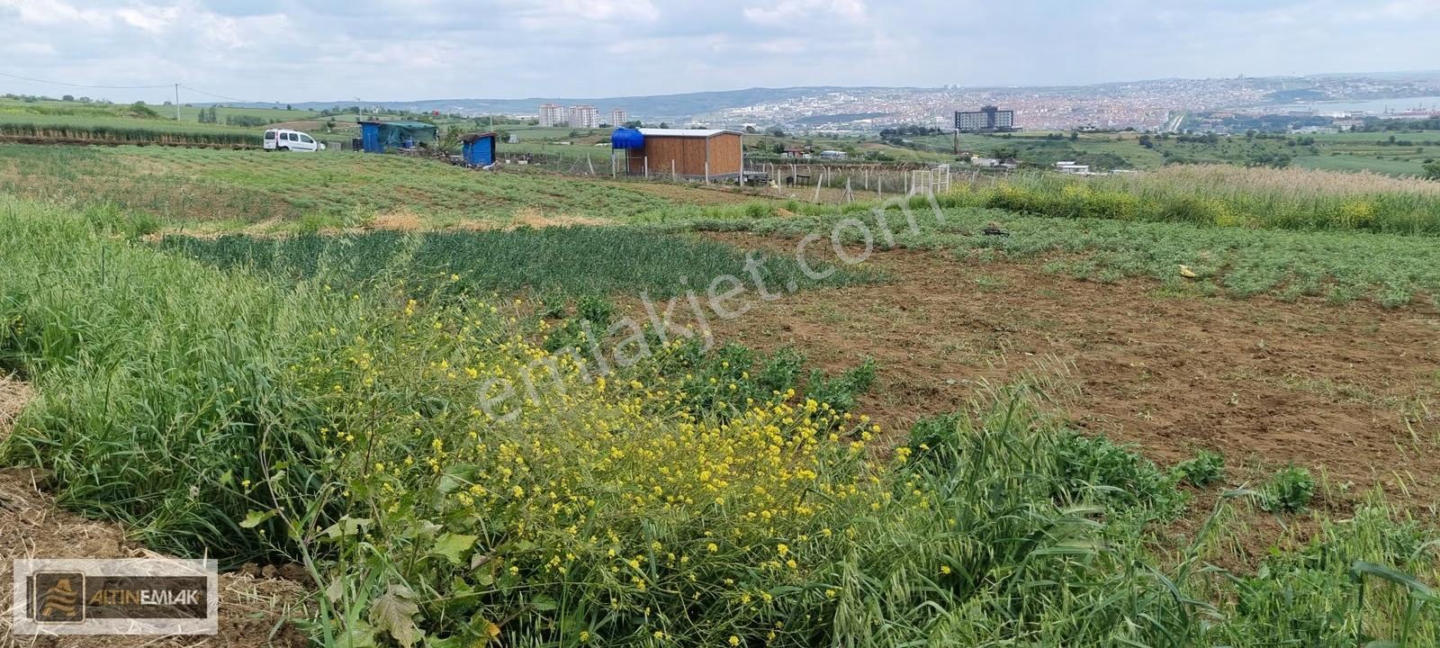 Süleymanpaşa Barbaros 488 M2 Müstakil Arsa - Görsel 12