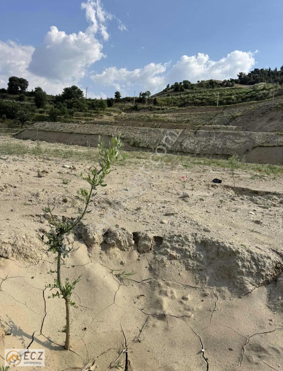 Ecz Gayrimenkul Den Satılık Zeytinik Çeşneli Mah. Yola Sıfır - Görsel 4