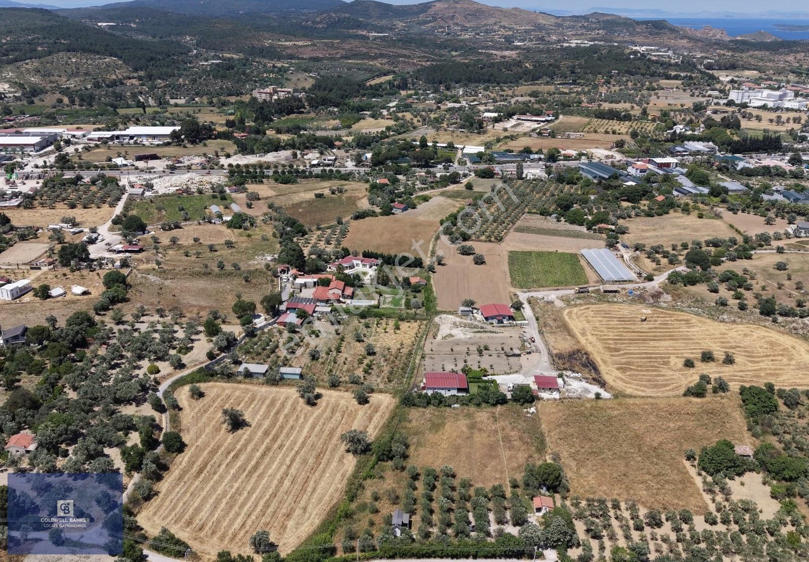 Urla Altıntaş'da Yola Cepheli, Elektrik/suyu Hazır Satılık Tarla - Görsel 7