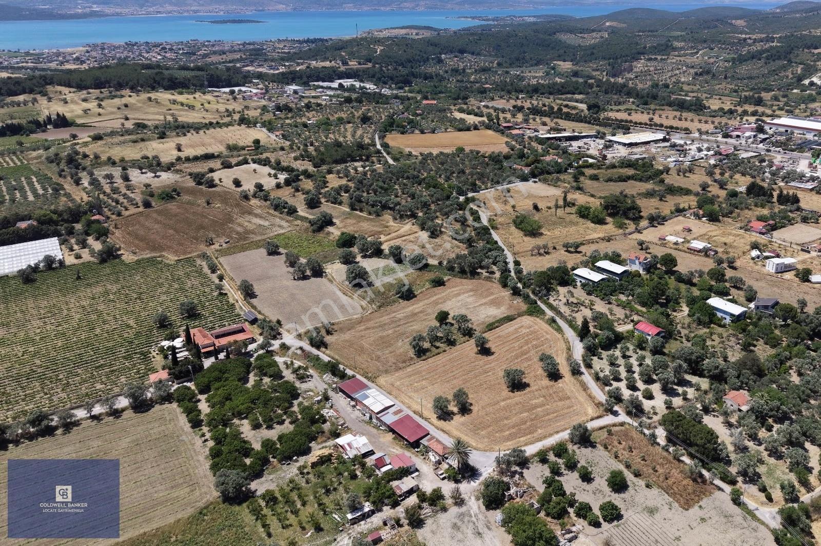 Urla Altıntaş'da Yola Cepheli, Elektrik/suyu Hazır Satılık Tarla - Görsel 13