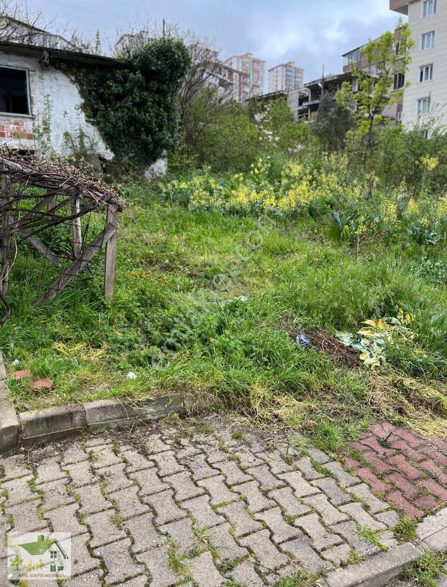 Samsun Canik Teknepınar Da Yol Cepheli Ful Manzara 177 M2 Arsa - Görsel 2