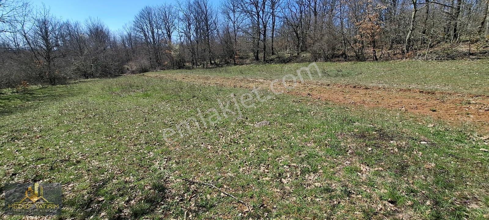 İmara Yakın Tek Tapu Yol Boyu Arazi [ 2.762 M2 ] - Görsel 25