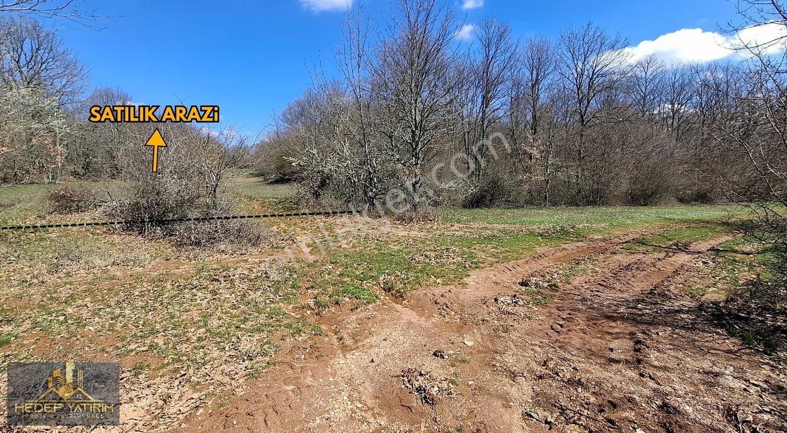 İmara Yakın Tek Tapu Yol Boyu Arazi [ 2.762 M2 ] - Görsel 9