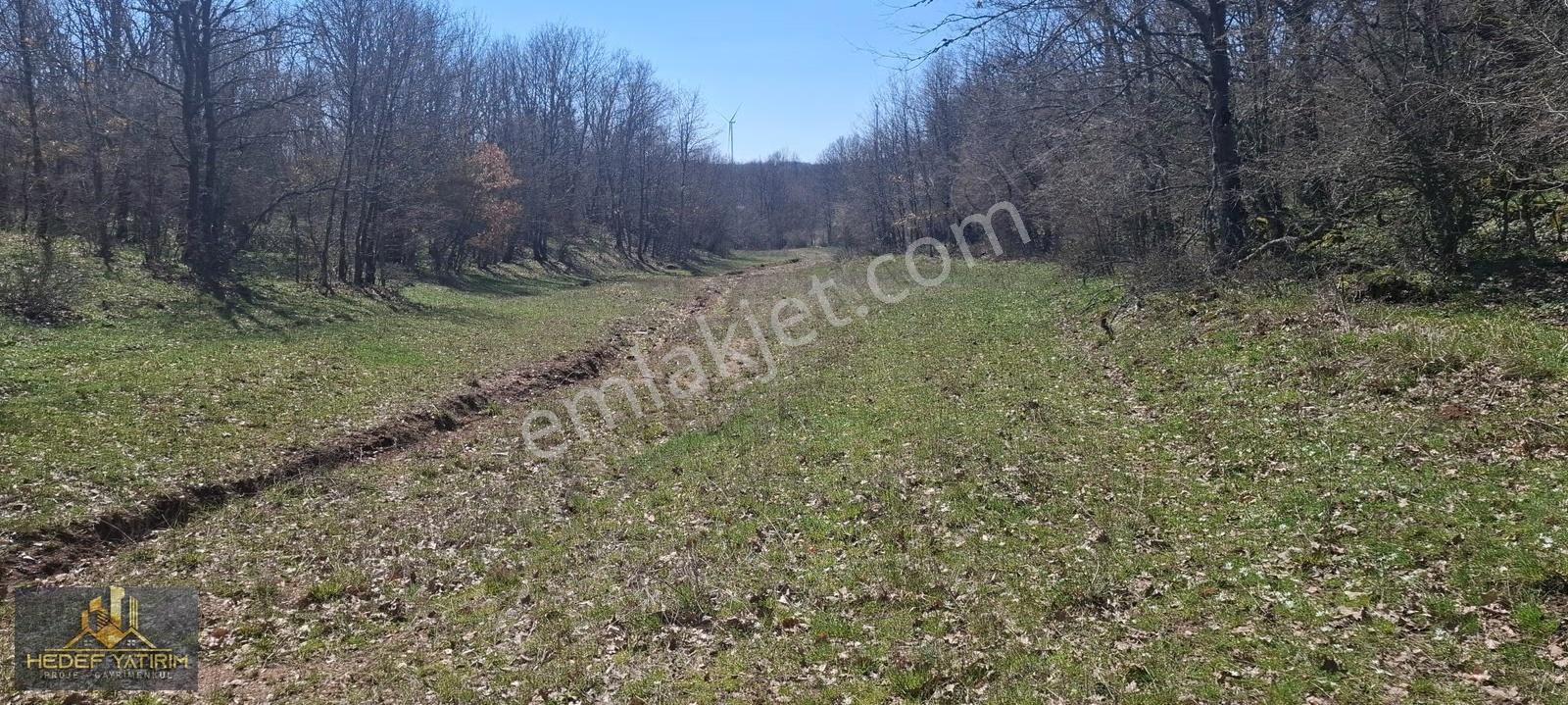 İmara Yakın Tek Tapu Yol Boyu Arazi [ 2.762 M2 ] - Görsel 10