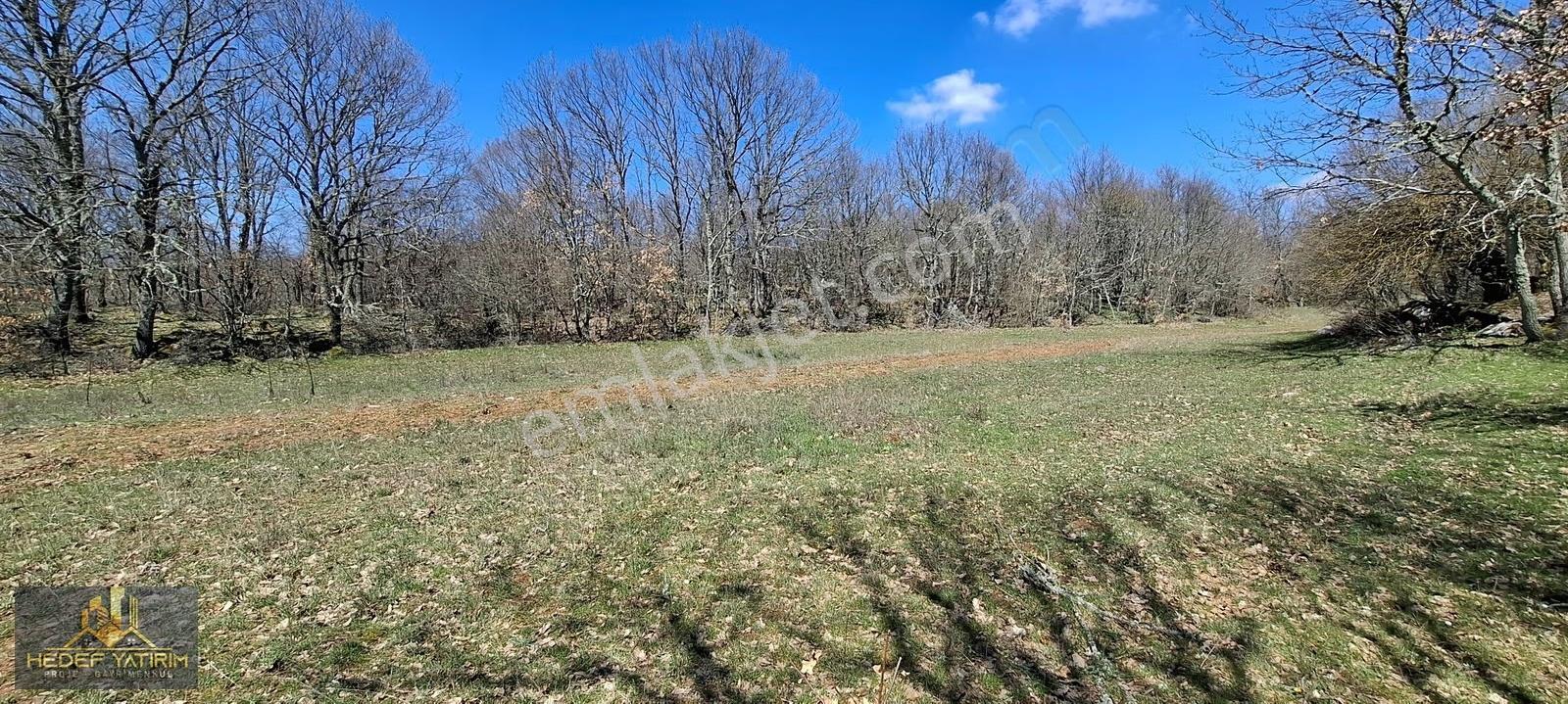 İmara Yakın Tek Tapu Yol Boyu Arazi [ 2.762 M2 ] - Görsel 11
