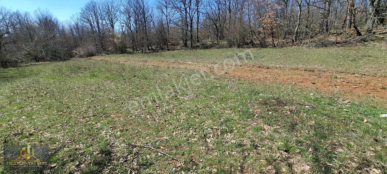 İmara Yakın Tek Tapu Yol Boyu Arazi [ 2.762 M2 ] - Görsel 6