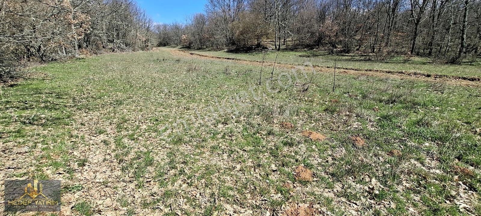 İmara Yakın Tek Tapu Yol Boyu Arazi [ 2.762 M2 ] - Görsel 21