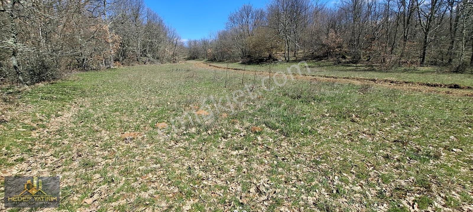 İmara Yakın Tek Tapu Yol Boyu Arazi [ 2.762 M2 ] - Görsel 3
