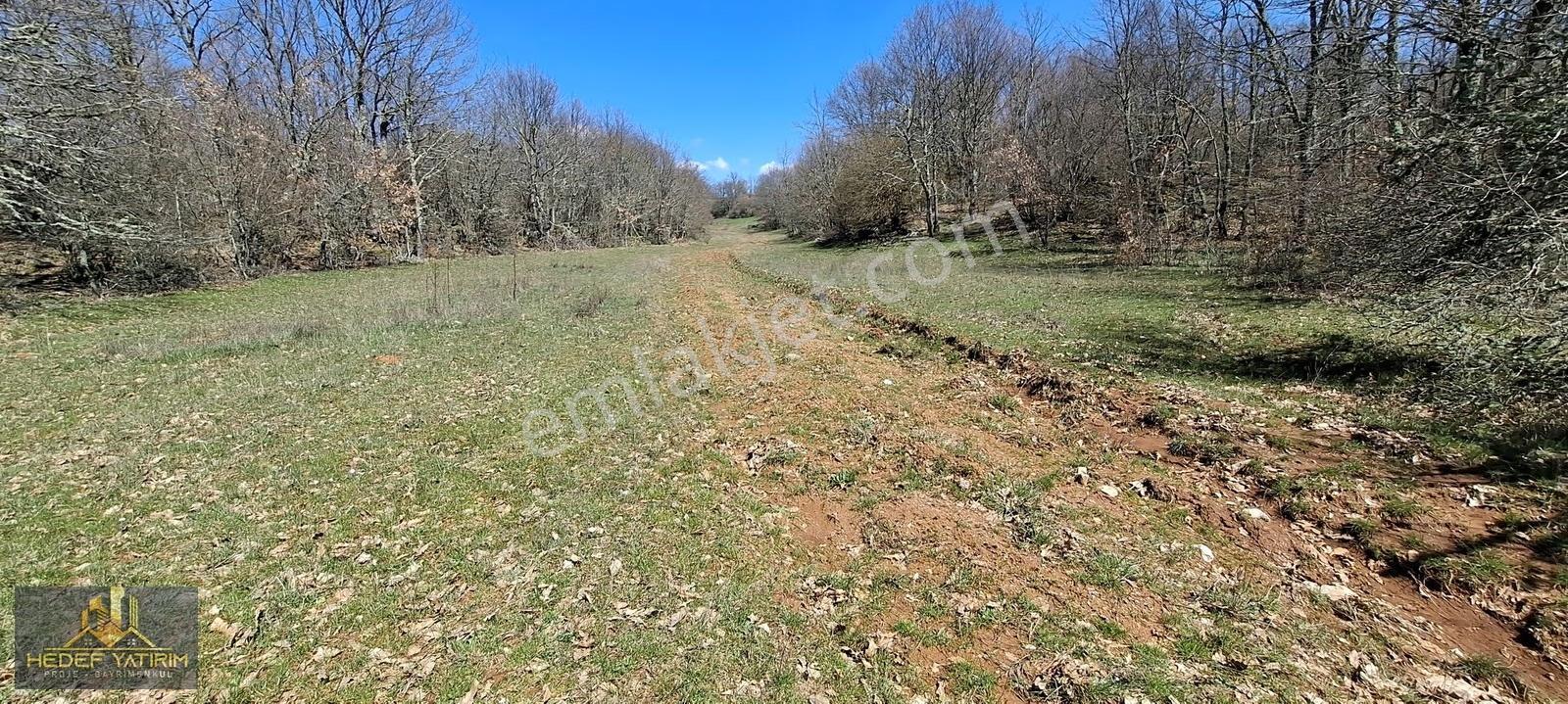 İmara Yakın Tek Tapu Yol Boyu Arazi [ 2.762 M2 ] - Görsel 22