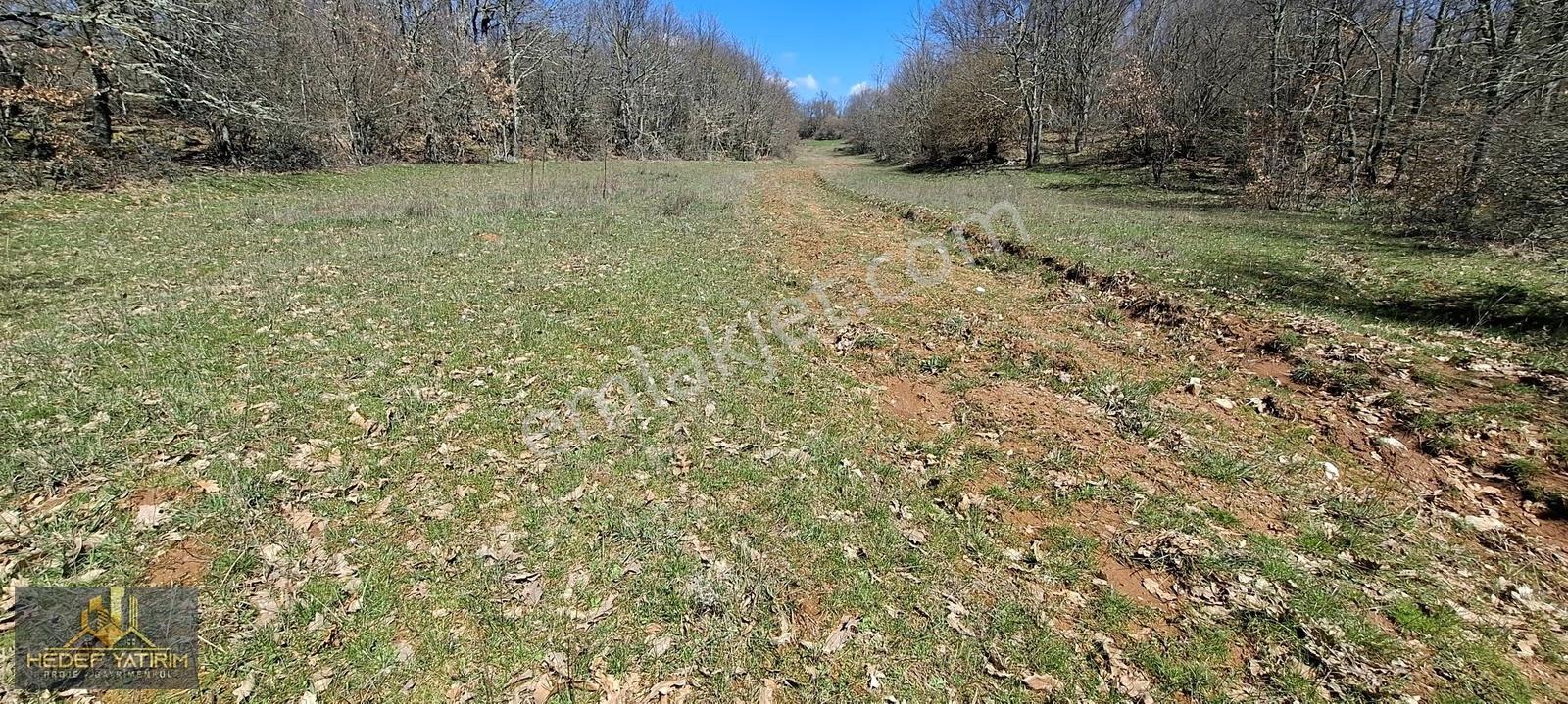 İmara Yakın Tek Tapu Yol Boyu Arazi [ 2.762 M2 ] - Görsel 18