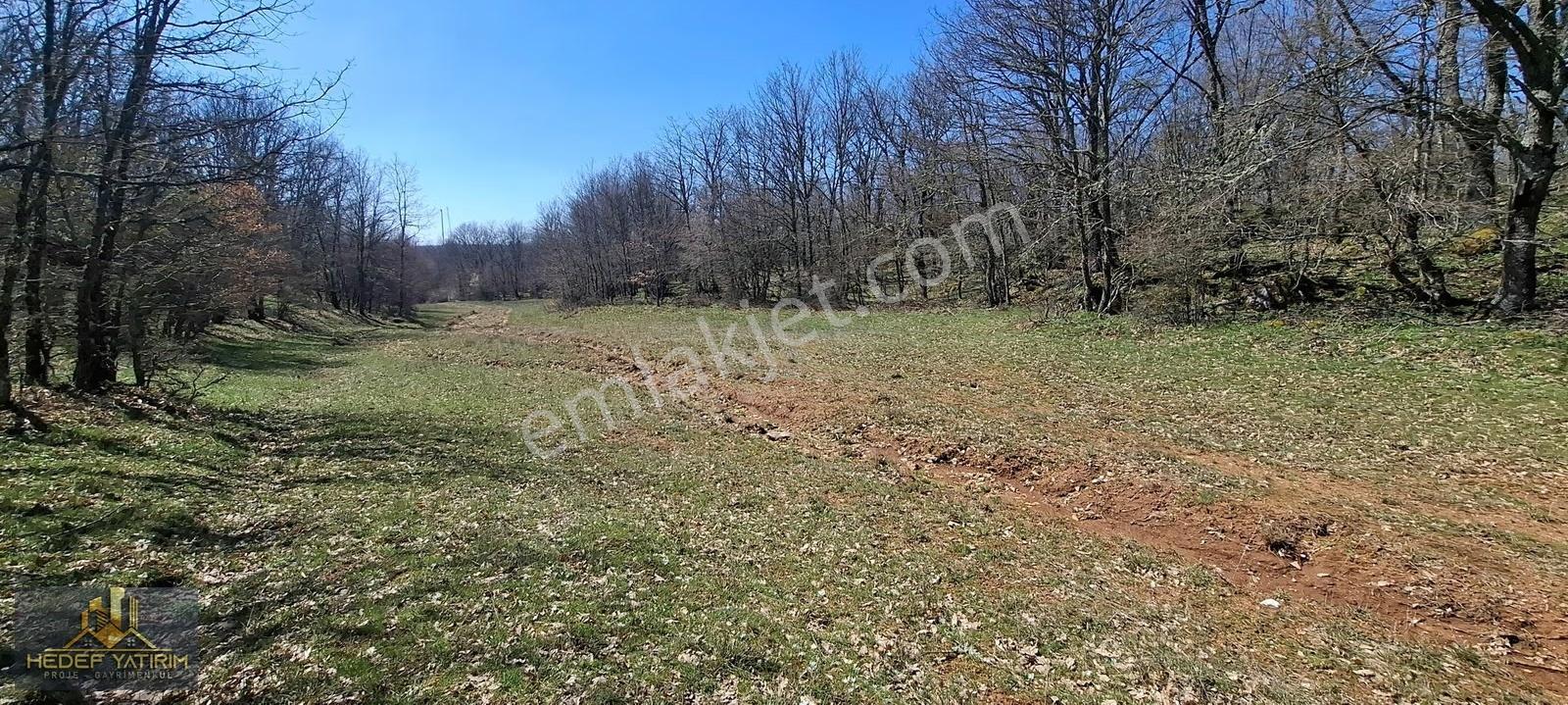 İmara Yakın Tek Tapu Yol Boyu Arazi [ 2.762 M2 ] - Görsel 17