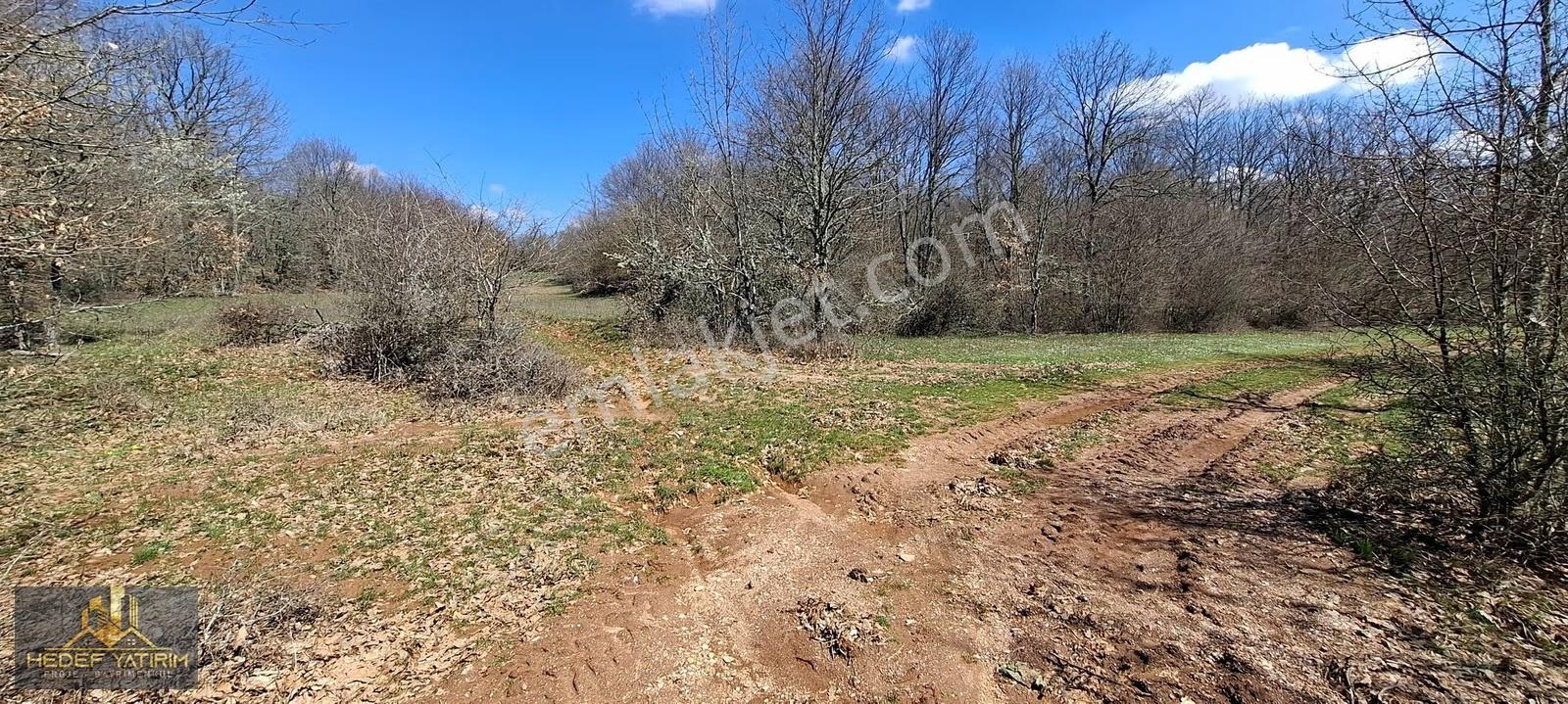 İmara Yakın Tek Tapu Yol Boyu Arazi [ 2.762 M2 ] - Görsel 14