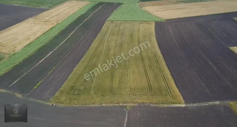 Gönen Buğdaylı Mahallesinde 16.900 M² Satılık Verimli Tarla - Görsel 2