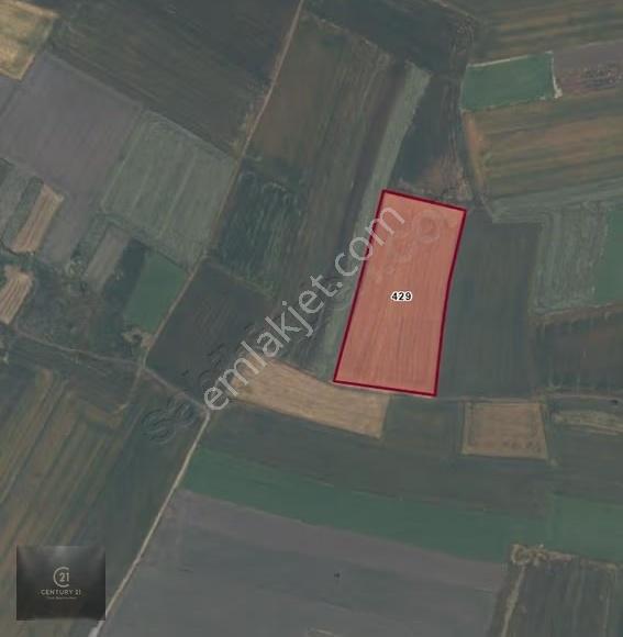 Gönen Buğdaylı Mahallesinde 16.900 M² Satılık Verimli Tarla - Görsel 3