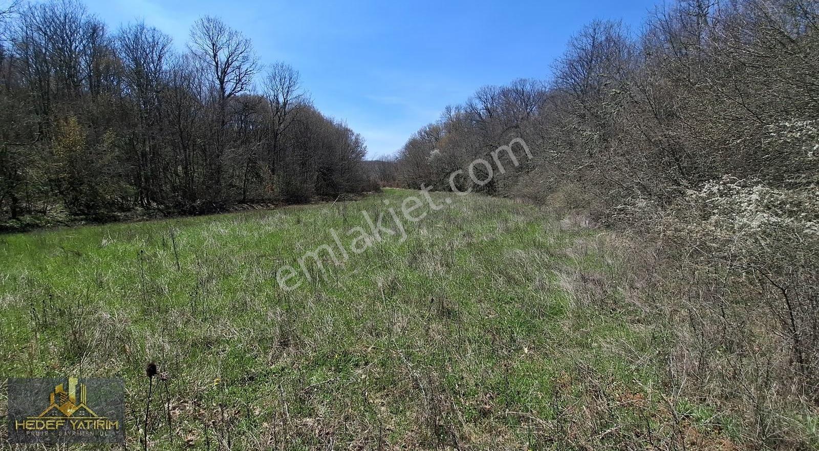 Hisseli Değil Al Kenarda Dursun Tek Tapu Arazi [ 1.886 M2 ] - Görsel 9